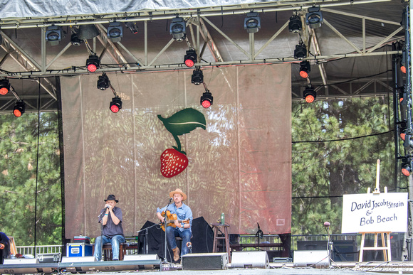 2022 Strawberry Music Festival