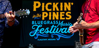 2023-09-15 Pickin' in the Pines