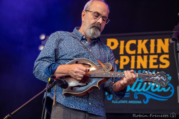 2023 Pickin' in the Pines